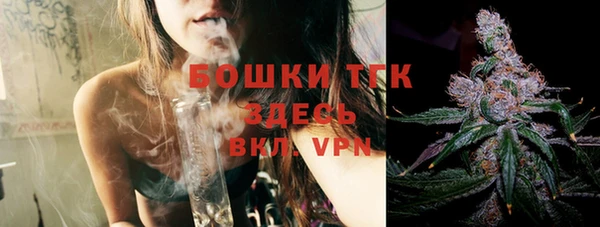 стаф Белокуриха