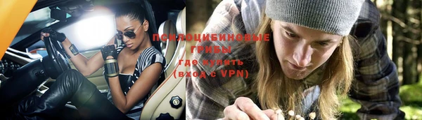 стаф Белокуриха