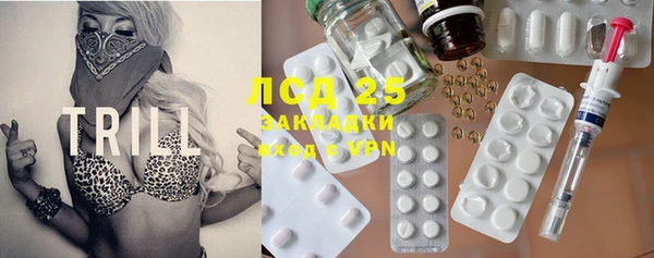 стаф Белокуриха