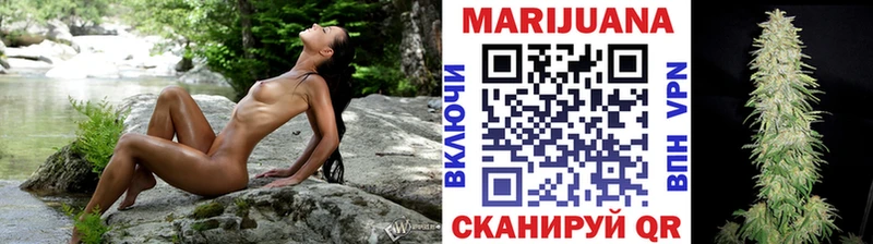 закладка  Донской  Каннабис планчик 